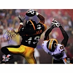 Troy Polamalu Catching Ball vs. Redskins Autographed Horizontal 16x20 Photo (ReichPM Auth)